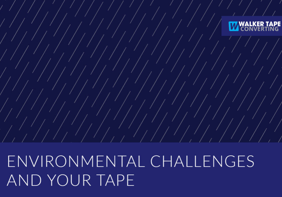 EnvironmentalChallenges_Blog